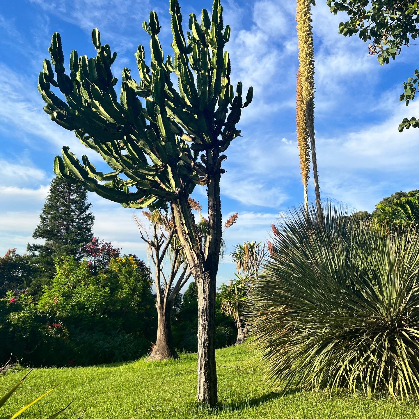 
Parque de Santa Catarina
 in Funchal