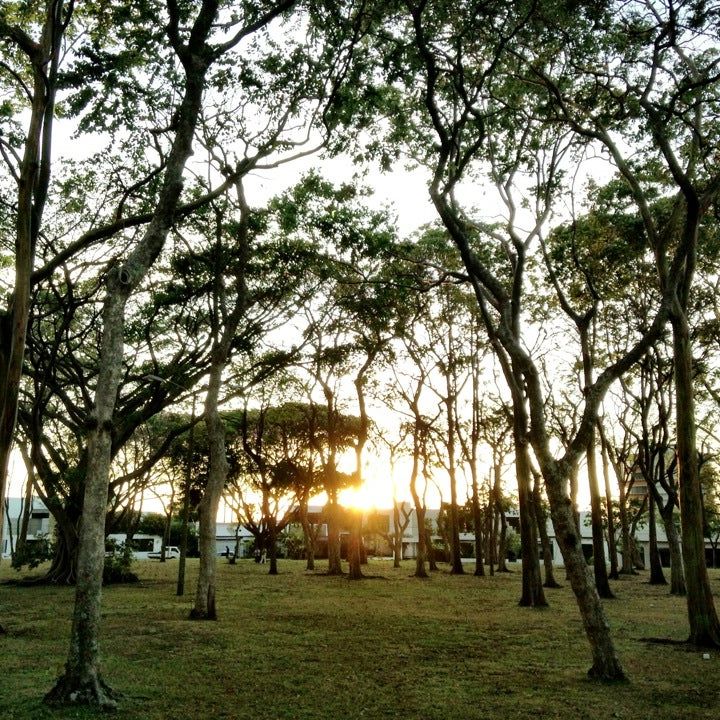 
Parque del Café
 in San José