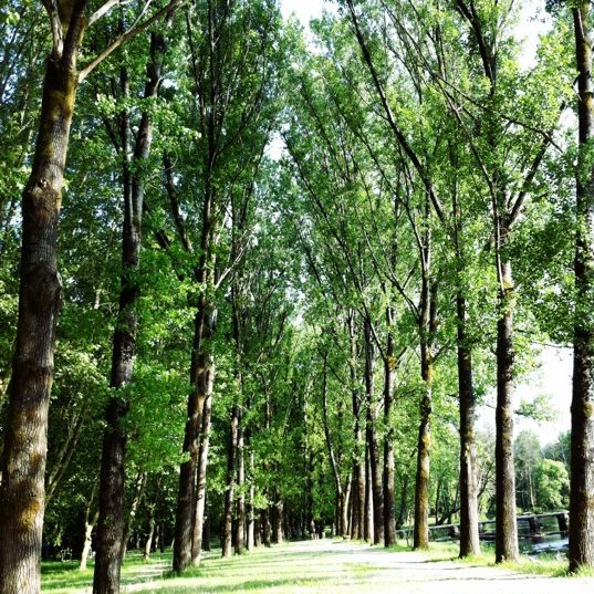 
Parque En Leiro
 in Galicia