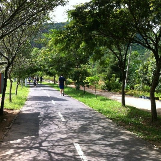 
Parque Municipal de Petrópolis
 in Rio De Janeiro State