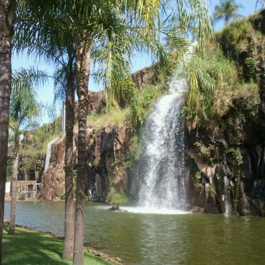 
Parque Municipal Dr. Luiz Carlos Raya
 in Ribeirão Preto