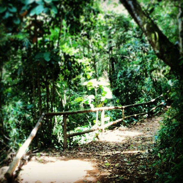 
Parque Natural Municipal de Petrópolis
 in Petrópolis