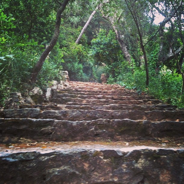 
Parque Palmela
 in Estoril