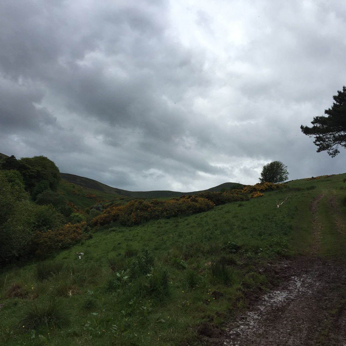 
Pentland Hills Regional Park (Flotterstone)
 in Midlothian