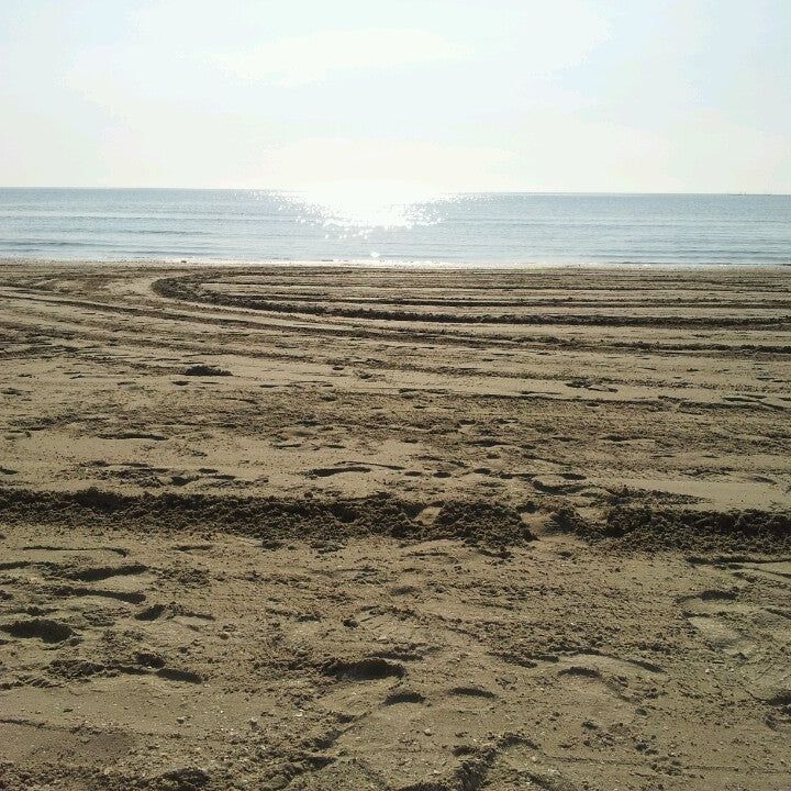 
Phoenicia Beach
 in Romanian Coast