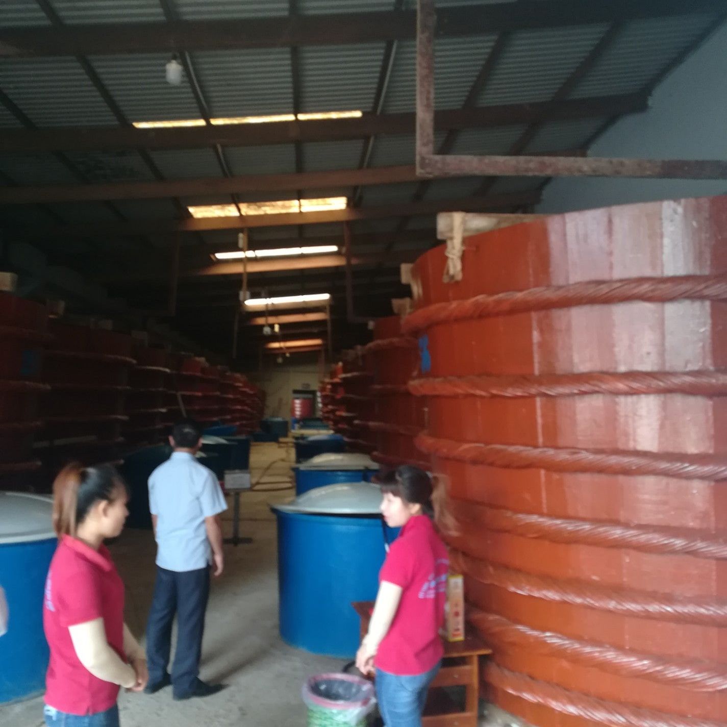 
Phung Hung Fish Sauce Factory
 in Khanh Hoa