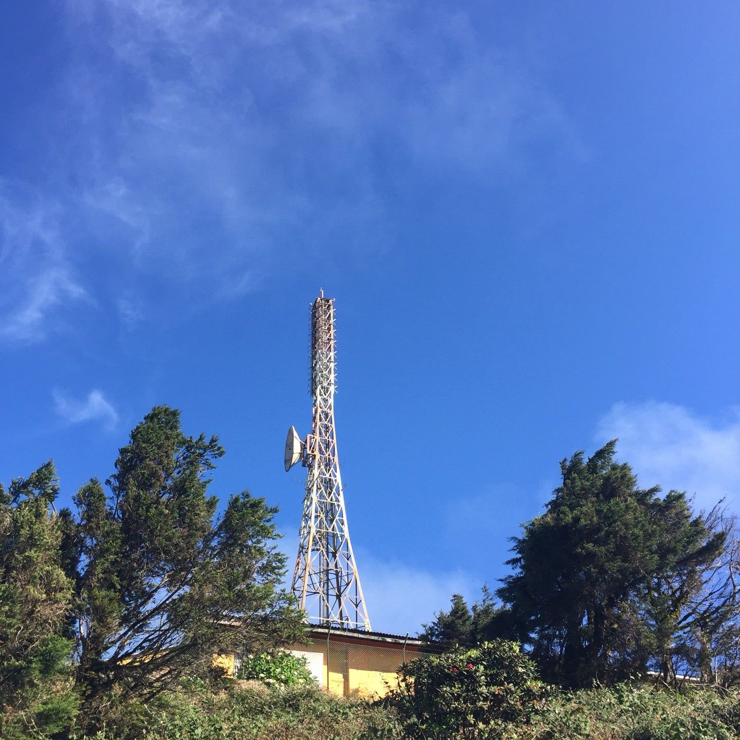 
Piduruthalagala Mountain
 in Nuwara Eliya