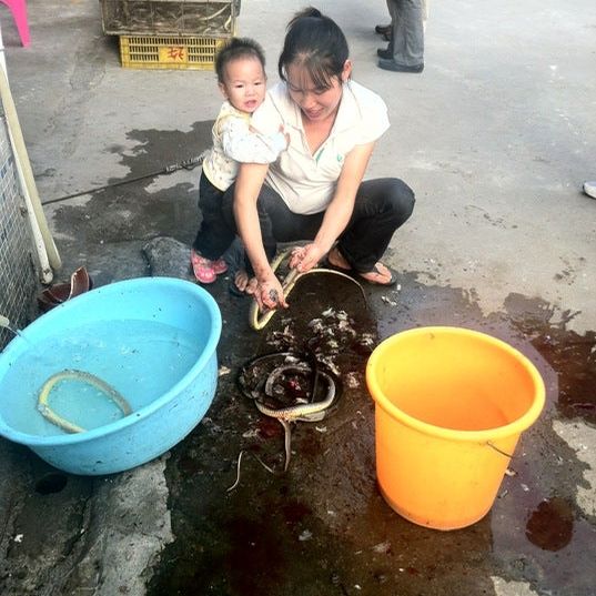 
Pingdi Seafood Market I 平地海鮮市場
 in Foshan Area