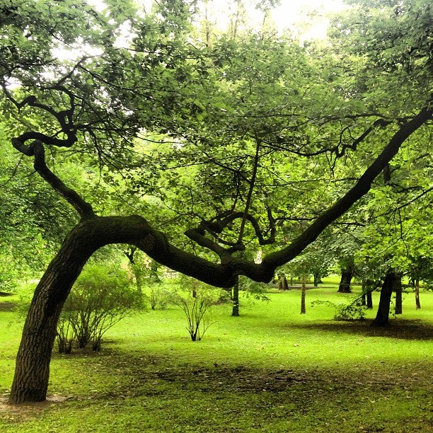 
Planty
 in Lesser Poland