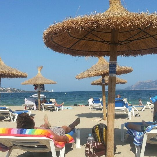 
Platja del Port de Pollença / Platja de Llenaire
 in Port De Pollensa