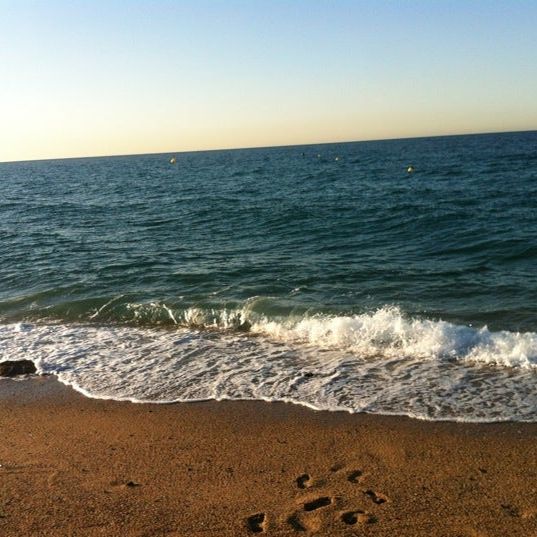 
Platja dels Pescadors
 in Maresme