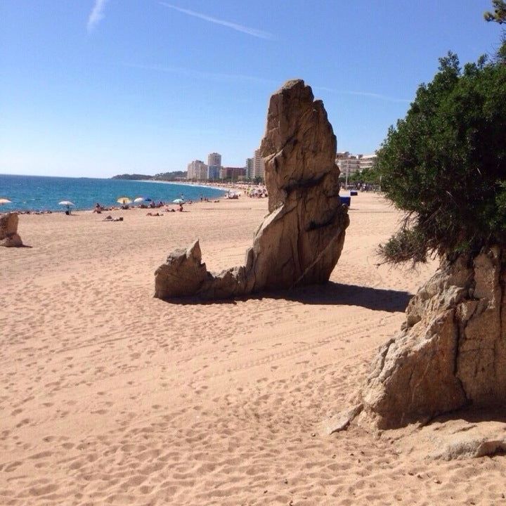 
Platja Gran
 in Platja  D'Aro