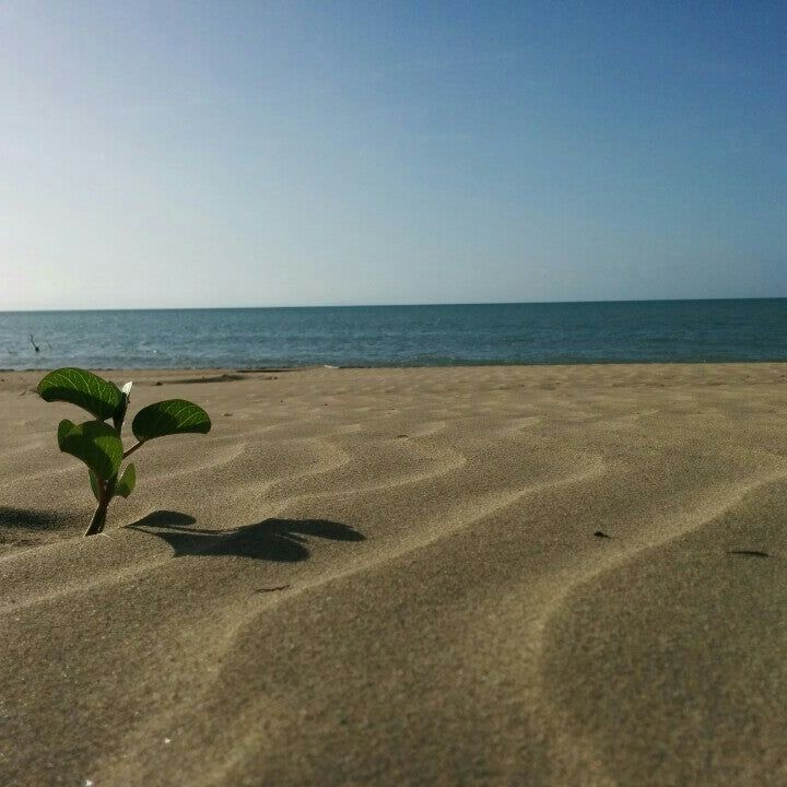 
Playa Arriba
 in Punta Cana