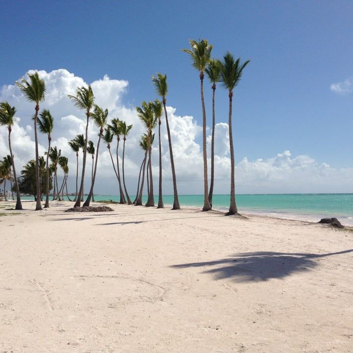 
Playa Bavaro
 in Punta Cana Beaches