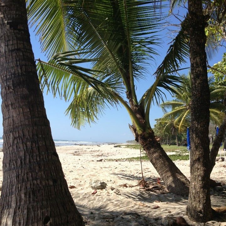 
Playa Carmen
 in Santa Teresa