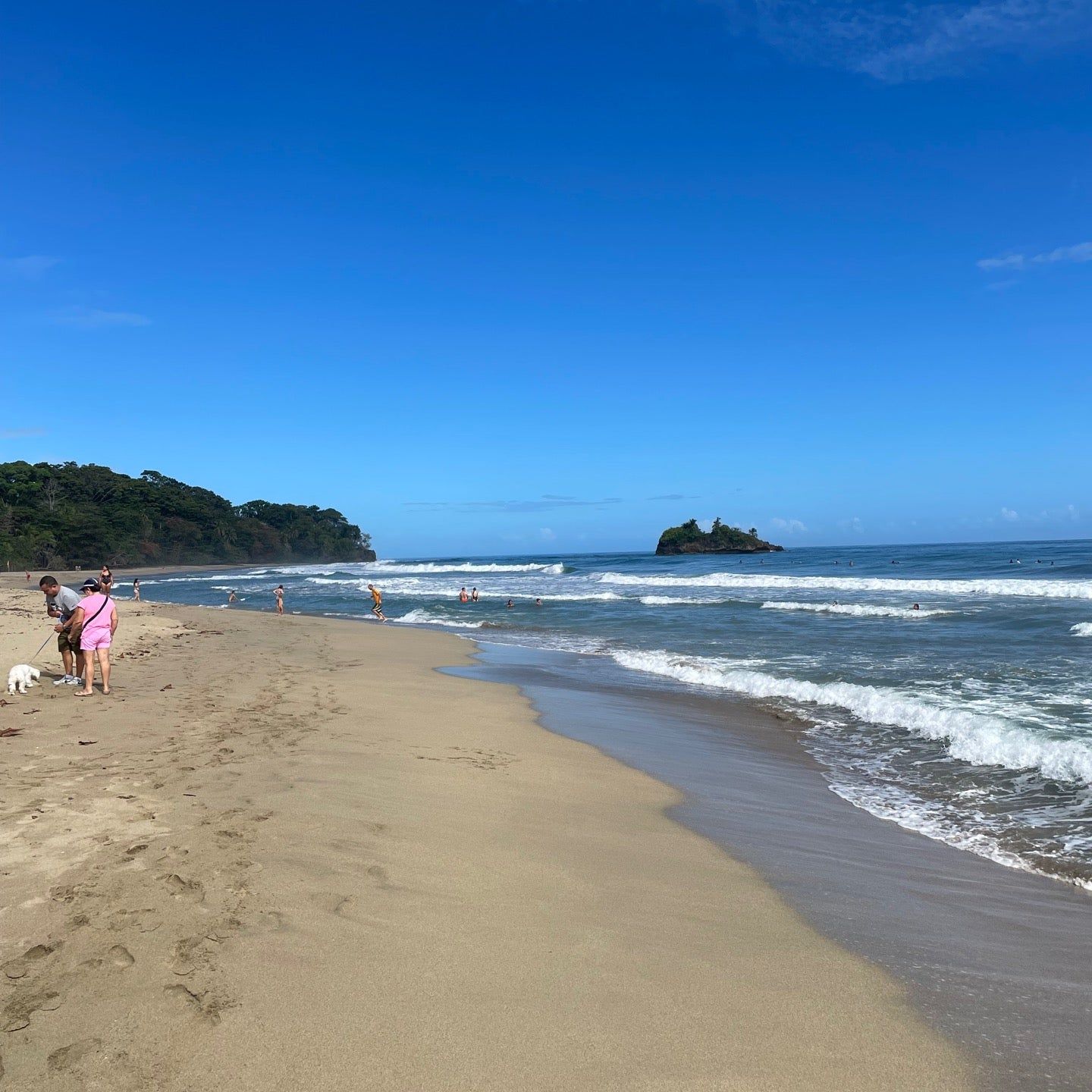 
Playa Cocles
 in Puerto Viejo