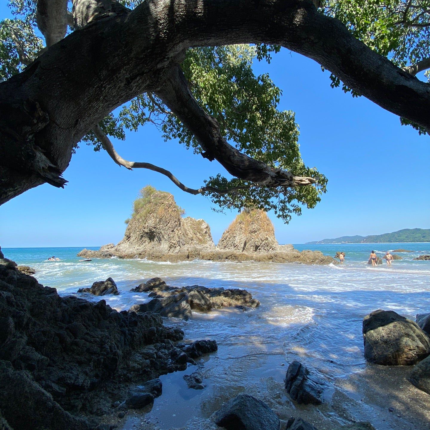 
Playa de los Muertos
 in Sayulita