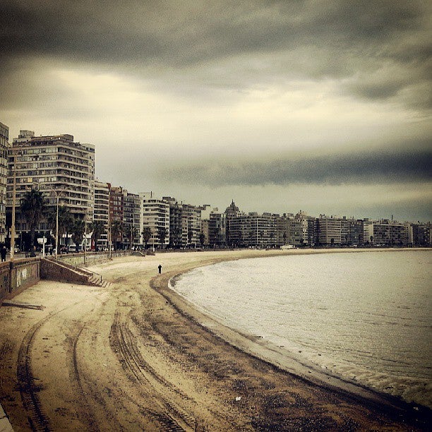 
Playa de los Pocitos
 in Montevideo