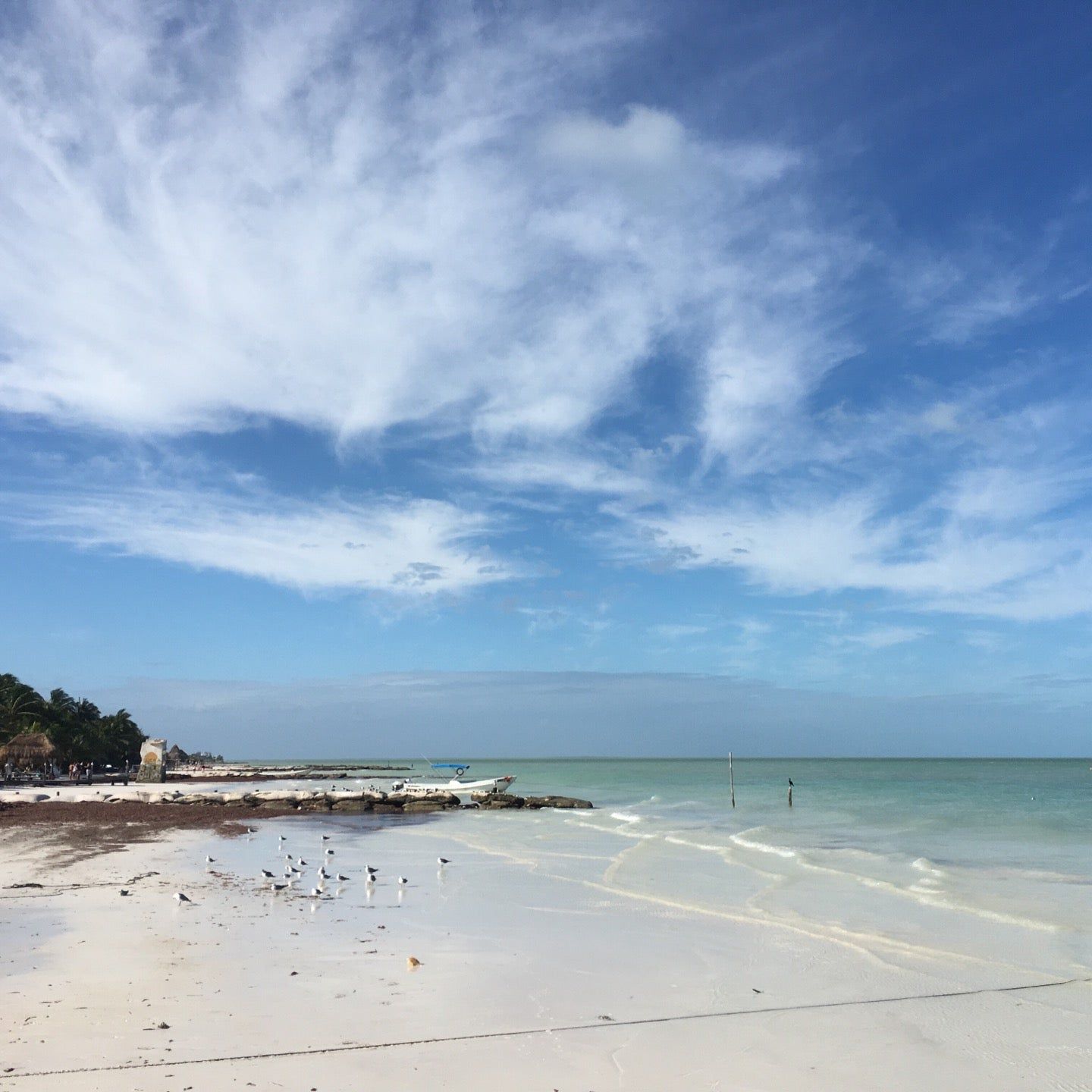 
Playa Holbox
 in Holbox Island