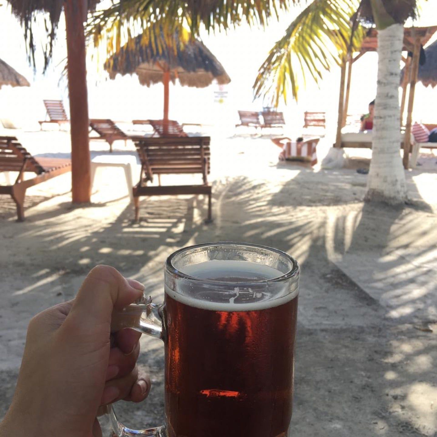 
Playa Indio
 in Isla Mujeres