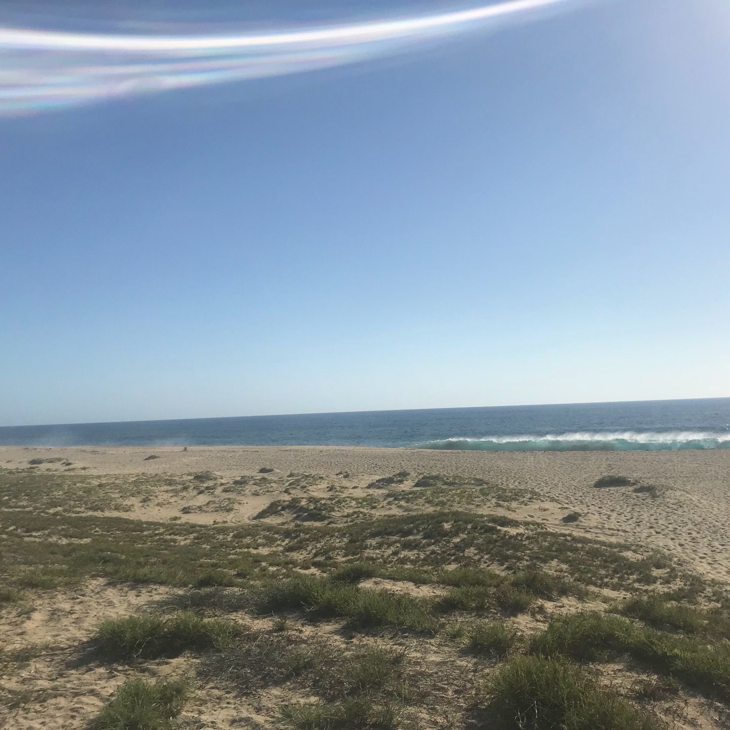 
Playa "La Cachora"
 in Todos Santos