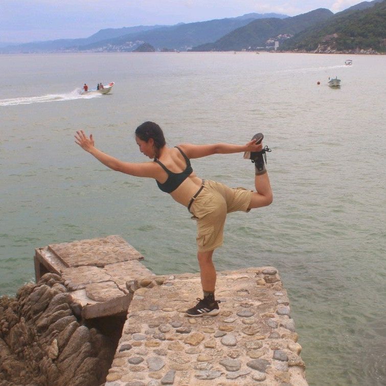 
Playa La Troza
 in Puerto Vallarta