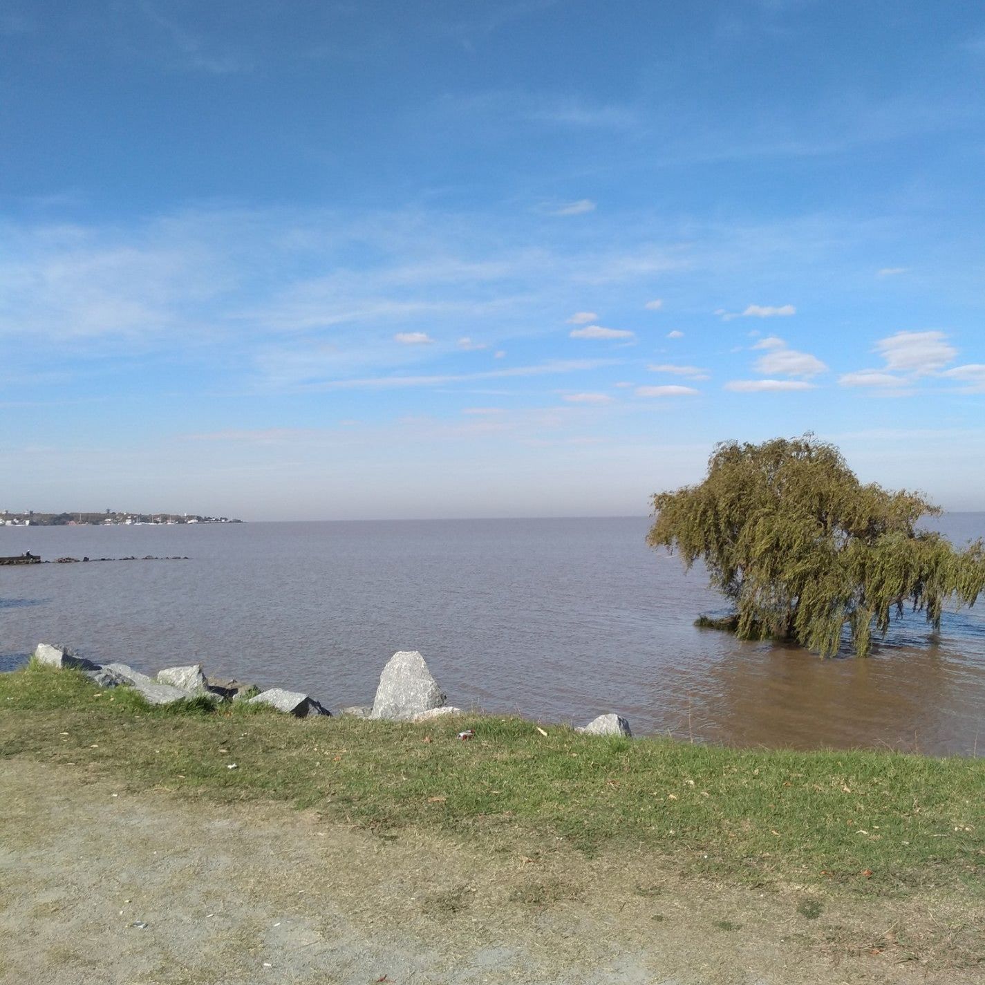 
Playa Real de San Carlos
 in Colonia Del Sacramento