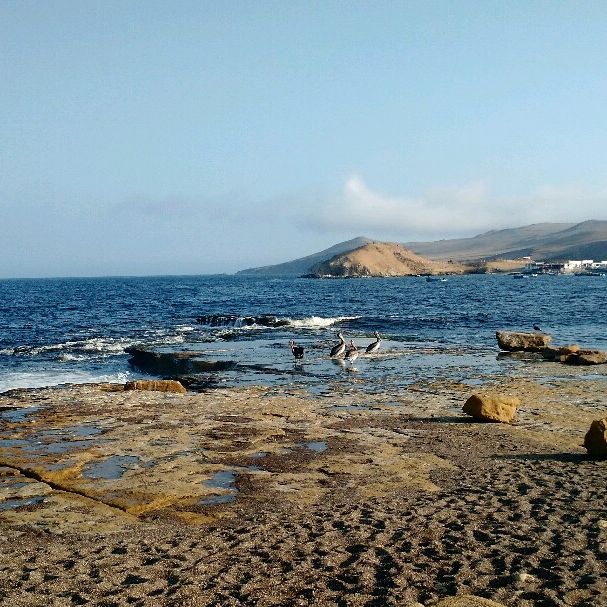 
Playa Roja
 in Paracas