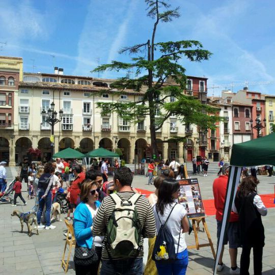 
Plaza del mercado
 in Logroño