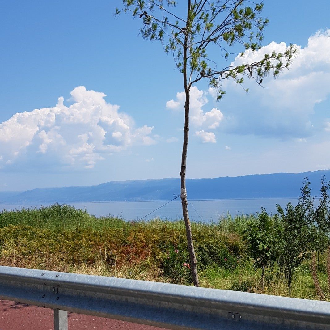 
Pogradec Göl
 in Korçë County