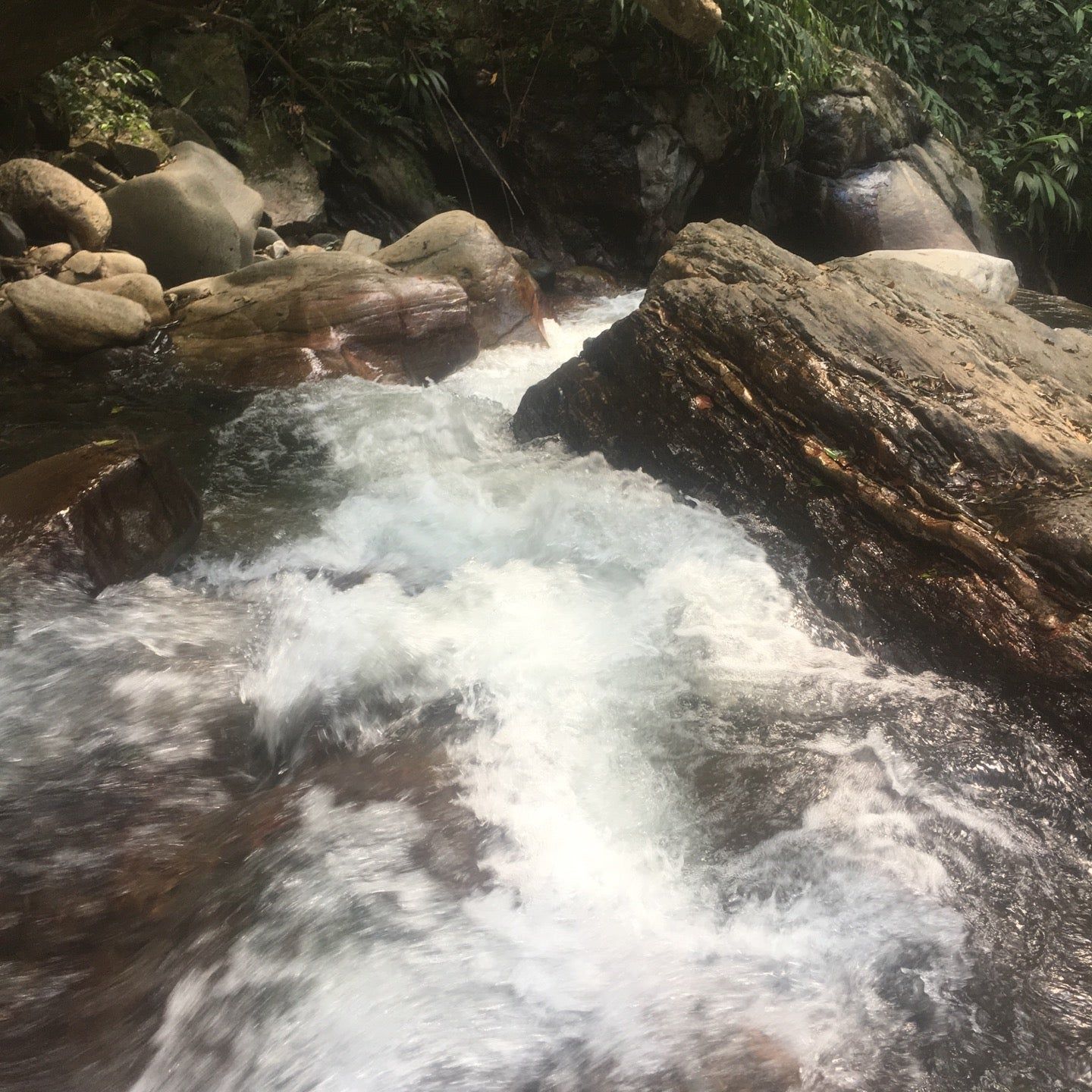 
Pozo Azul
 in Magdalena