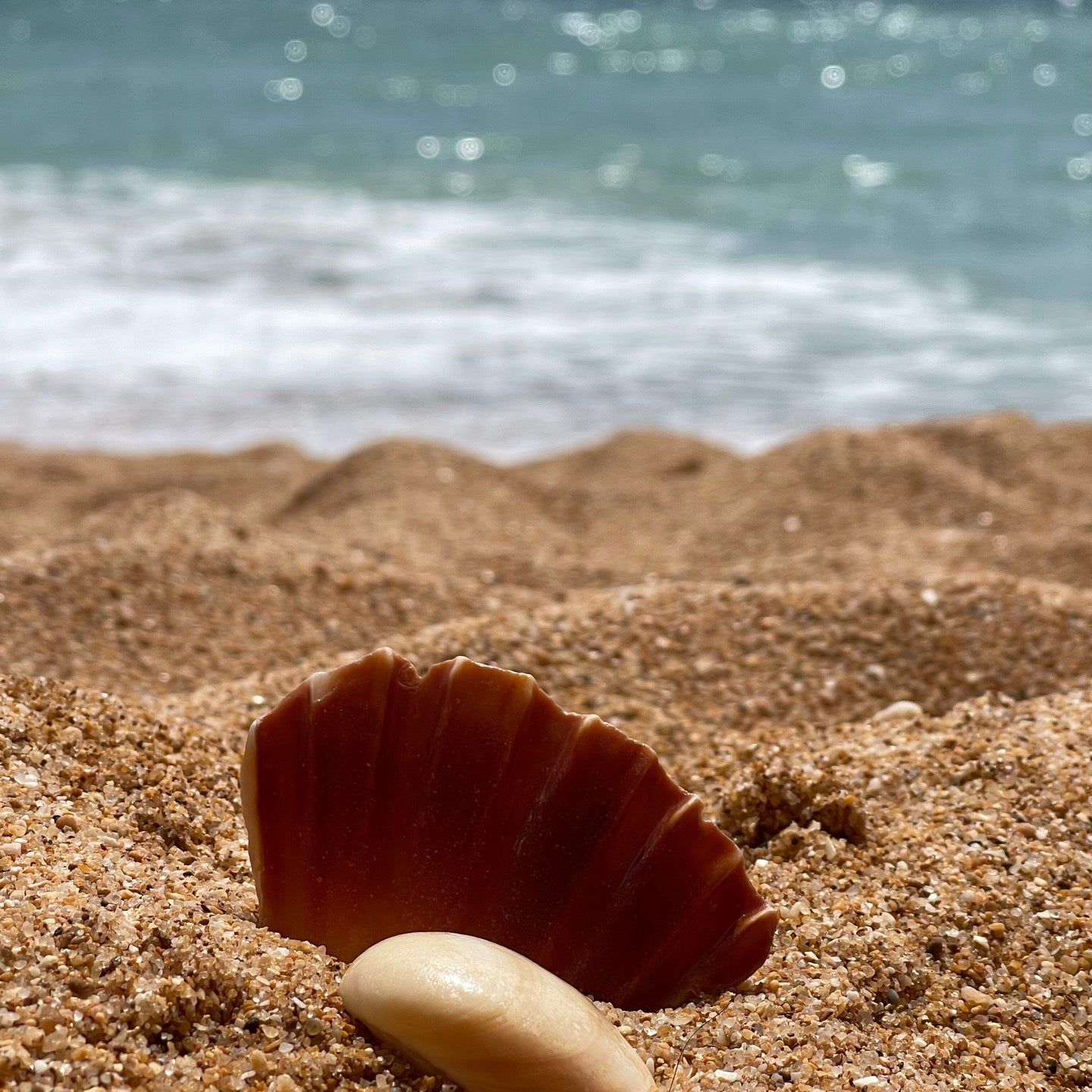 
Praia da Coelha
 in Algarve