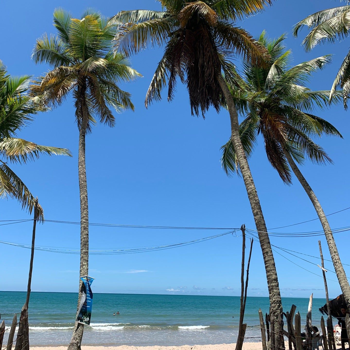 
Praia da Cueira
 in Northeast Of Brazil