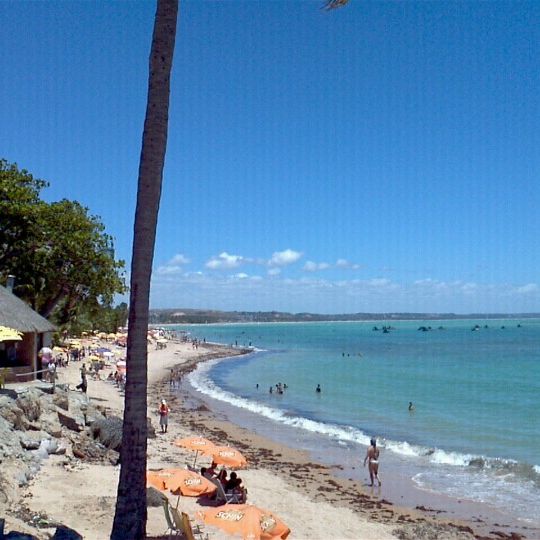 
Praia de Ponta Verde
 in Maceió