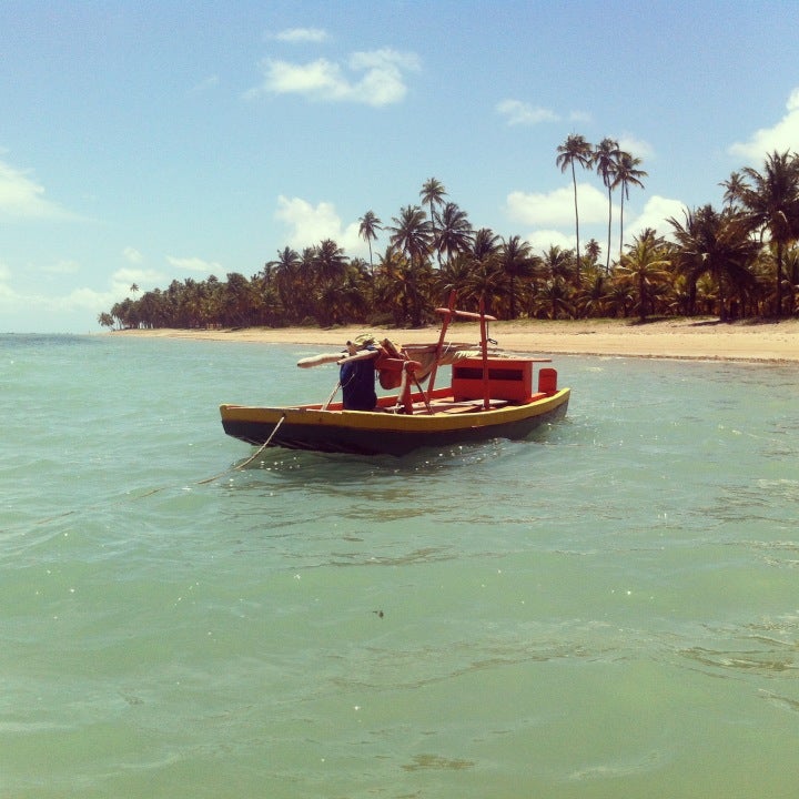 
Praia do Patacho
 in Alagoas