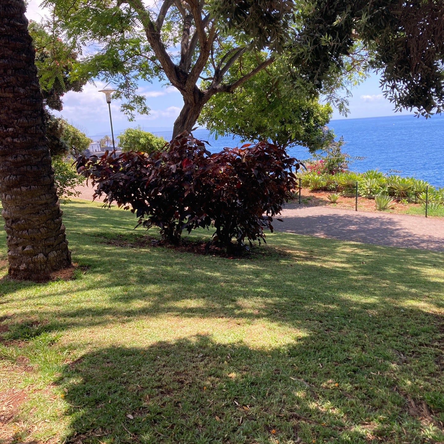 
Promenade do Lido
 in Funchal