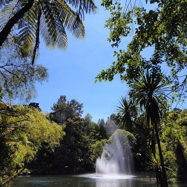 
Pukekura Park
 in New Plymouth