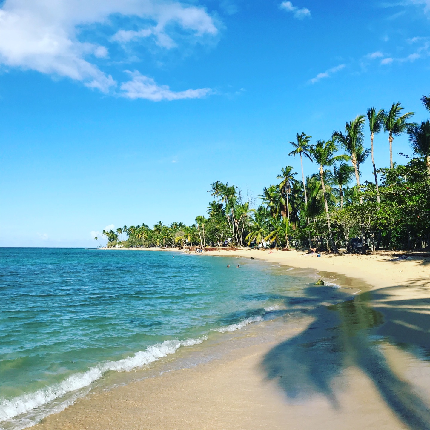 
Punta Popy
 in Las Terrenas