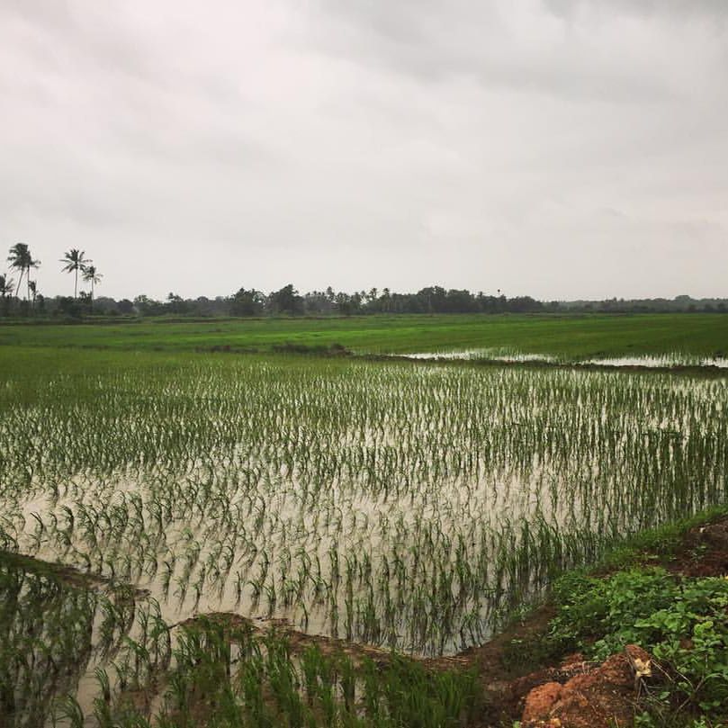 
Quinta de valadares
 in South Goa