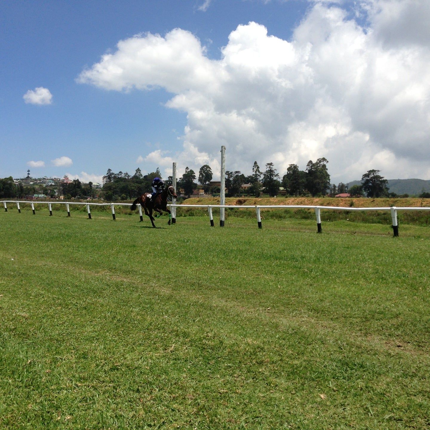 
Race Course
 in Nuwara Eliya