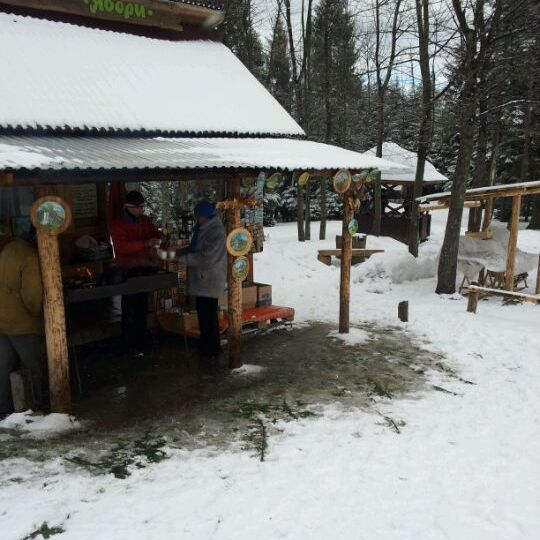 
Рекреаційна зона "Явори"
 in Carpathians - Ukraine