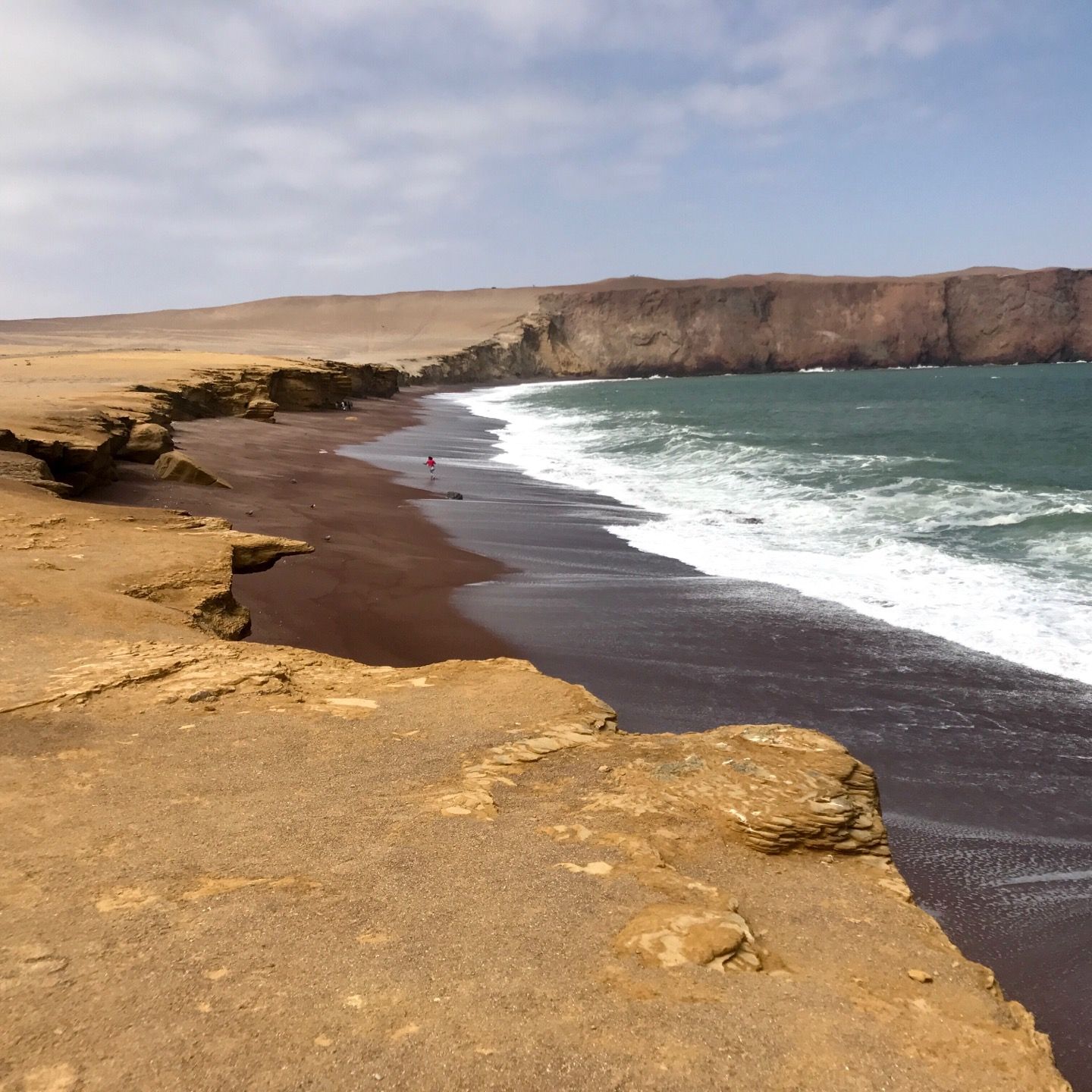 
Reserva Nacional de Paracas
 in Paracas