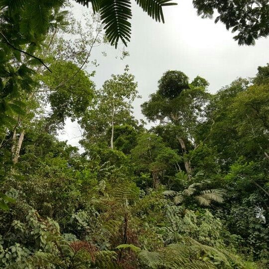 
Rio arenal
 in Costa Rica