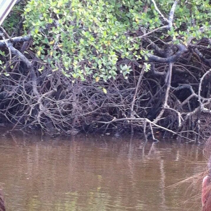 
Rio do Inferno
 in Northeast Of Brazil