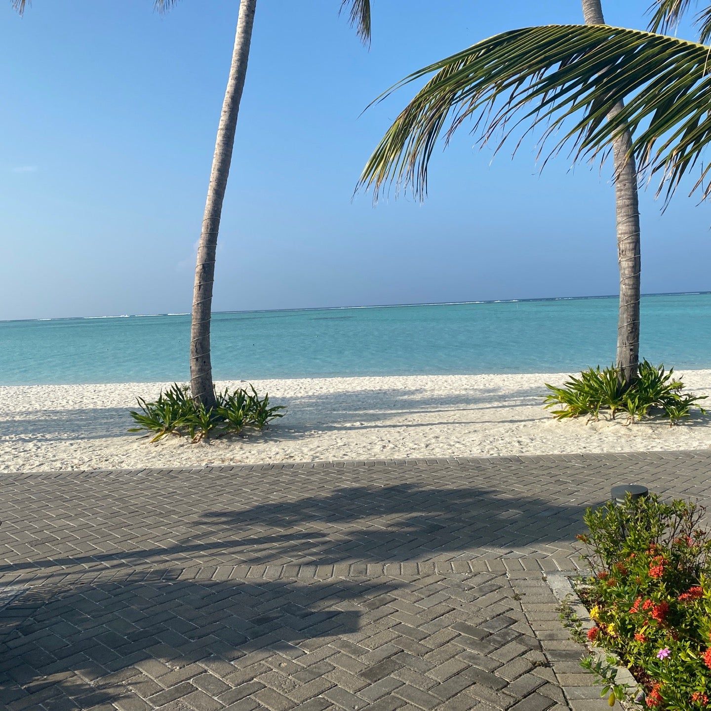 
Riu Atoll Beach
 in Dhaalu Atoll