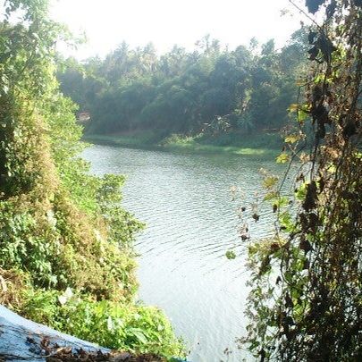 
River view
 in Mahe, South