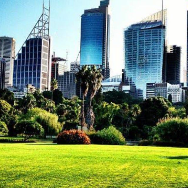 
Royal Botanic Garden
 in Sydney