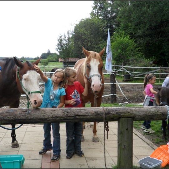 
RUBI´S RANCH
 in Southern Styria