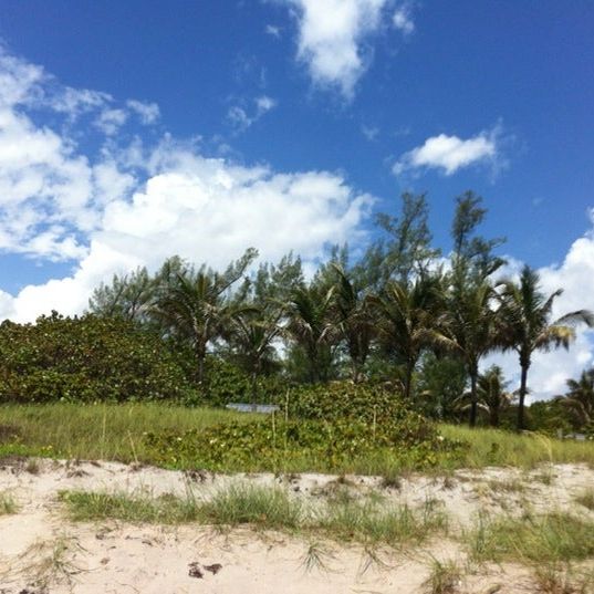 
S Inlet Park Beach
 in Palm Beach County