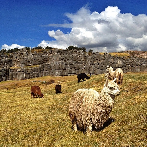 
Sacsayhuamán
 in Cusco